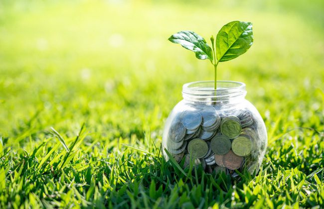 Green Bond Principles and the EU framework for green finance