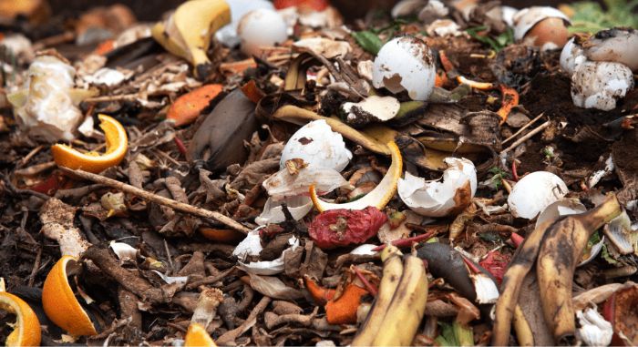 Turning waste into organic consumer products, improving income for the poor