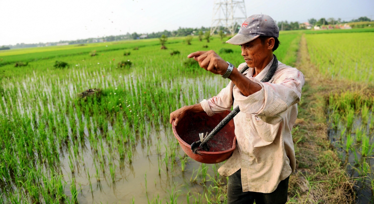 Đất nông nghiệp Việt Nam hết phì nhiêu, đến mức suy kiệt