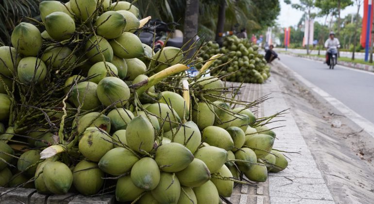 Ngành dừa cần ‘xanh hóa’