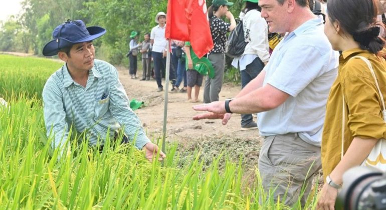 Trồng lúa giảm phát thải, 8 doanh nghiệp gạo được thưởng gần 3,2 tỷ đồng