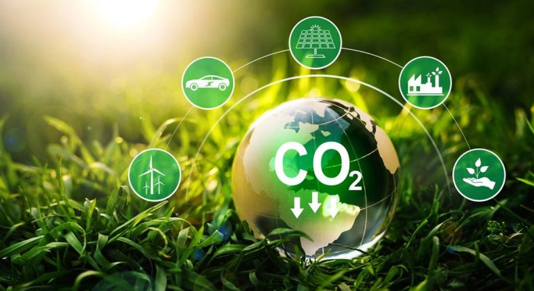 ‘Việt Nam có thể trở thành bể chứa carbon lớn của thế giới’